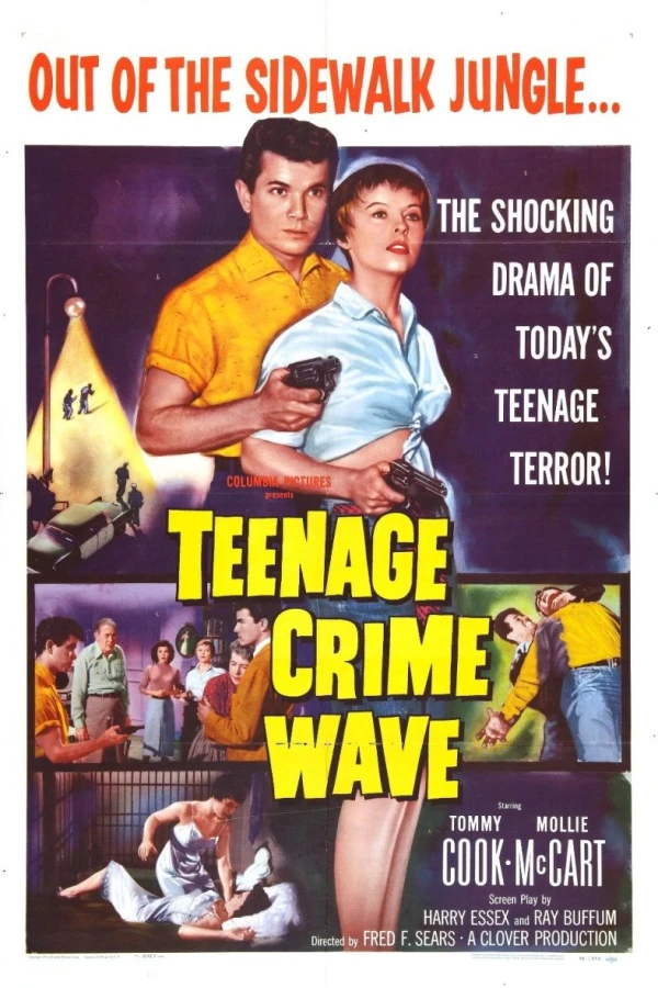 Teen-Age Crime Wave Juliste