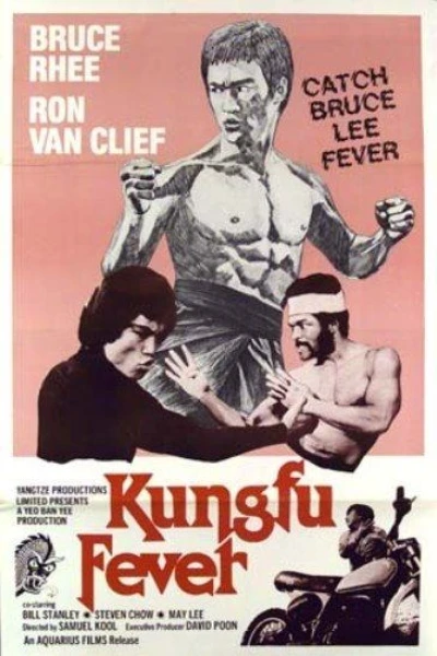 Kung Fu Fever