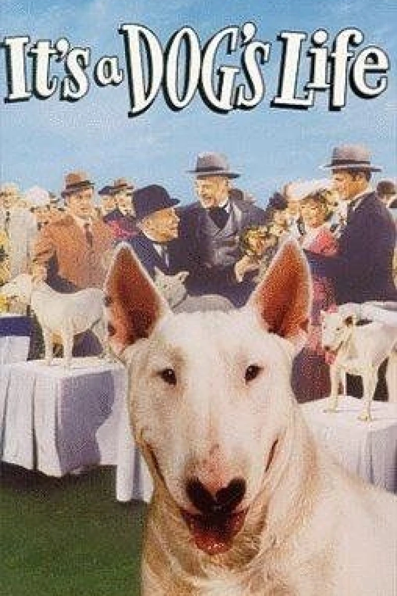 It's a Dog's Life Juliste