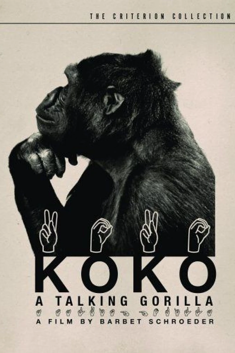 Koko: A Talking Gorilla Juliste