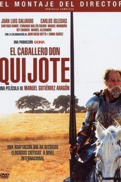 Don Quixote, Knight Errant