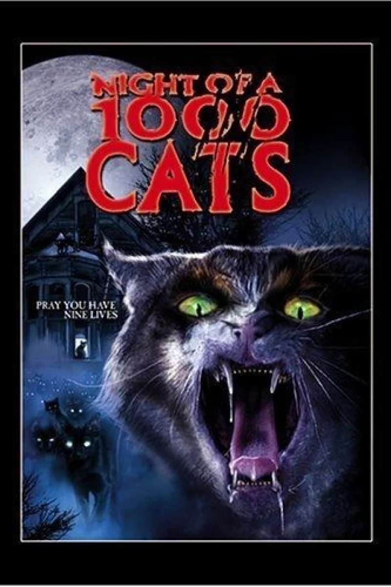 The Night of a Thousand Cats Juliste