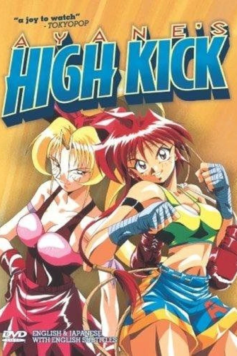Ayane's High Kick Juliste