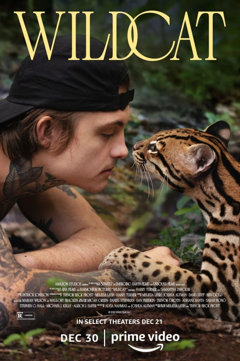 Wildcat Juliste