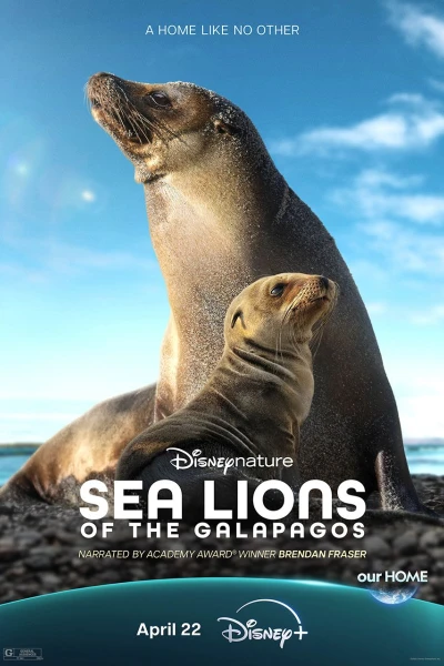 Sea Lions of the Galapagos