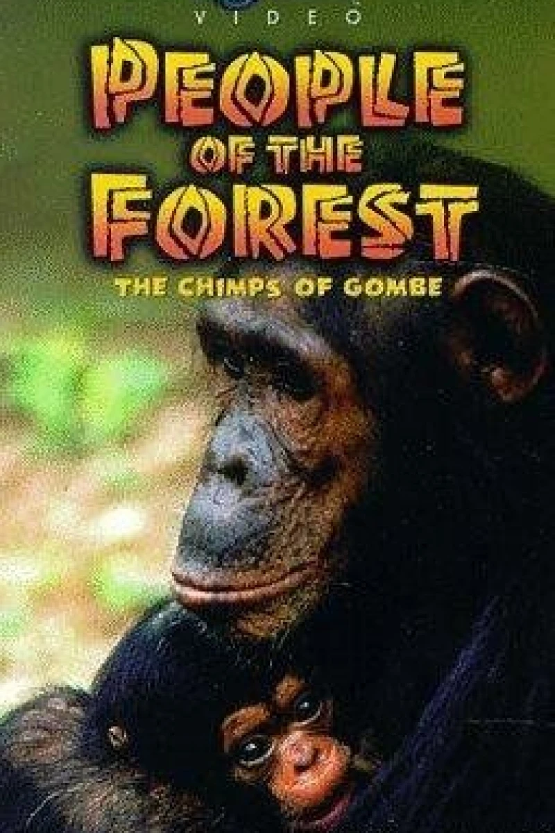 People of the Forest: The Chimps of Gombe Juliste