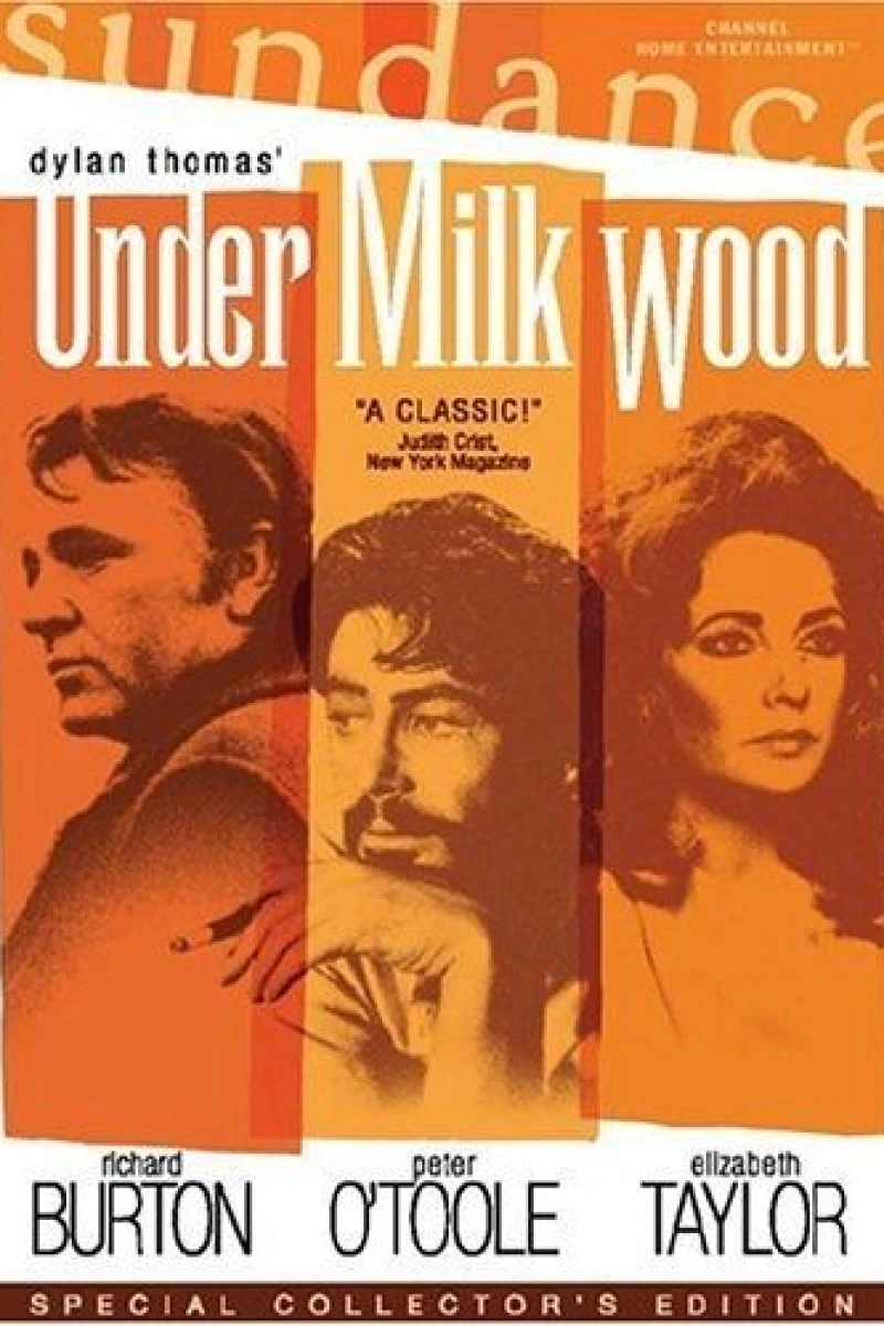 Under Milk Wood Juliste