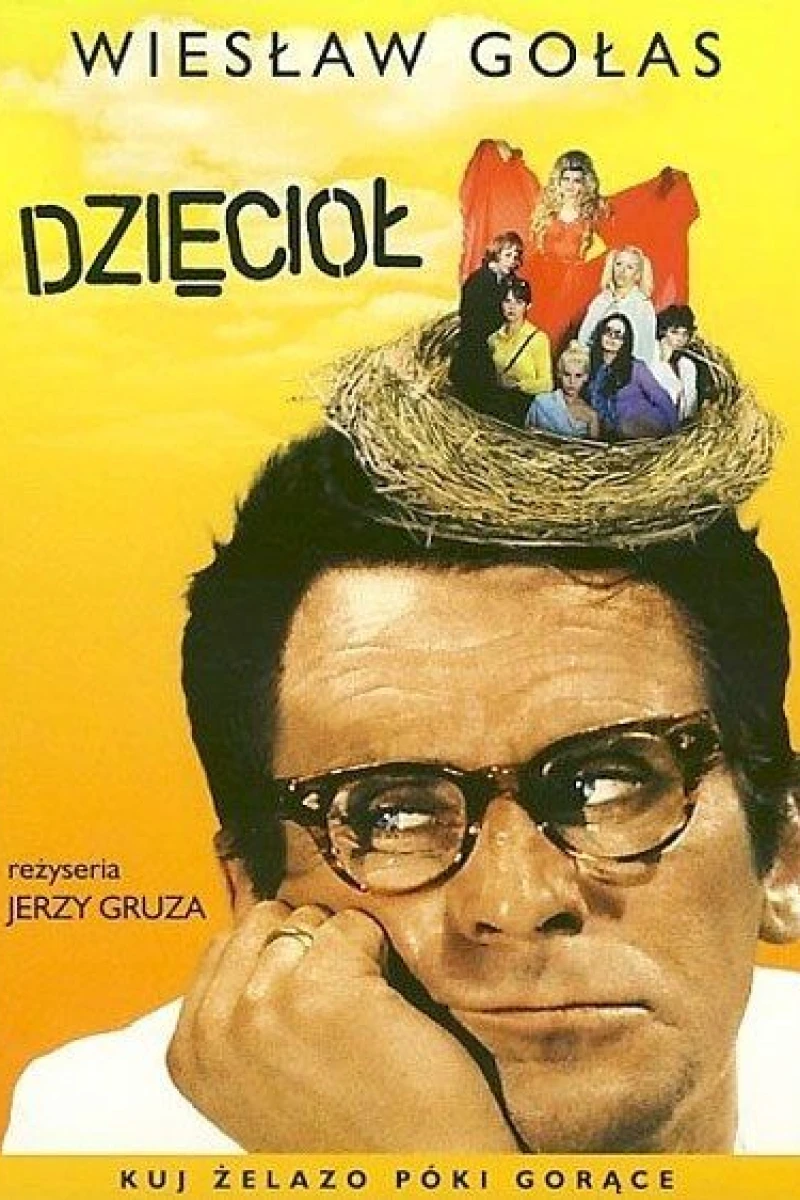 Dzieciol Juliste