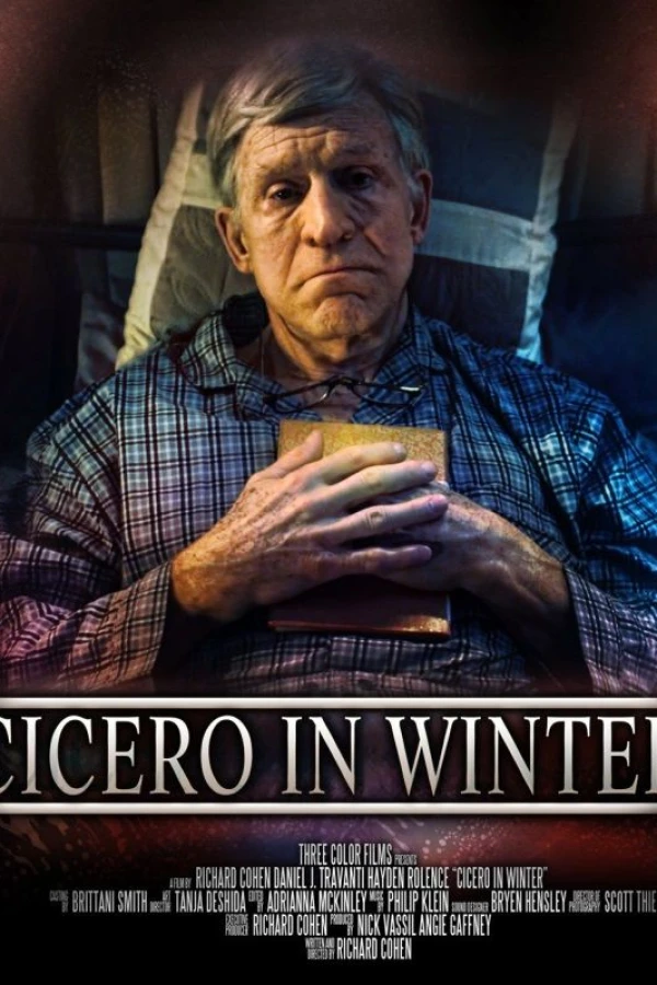 Cicero in Winter Juliste