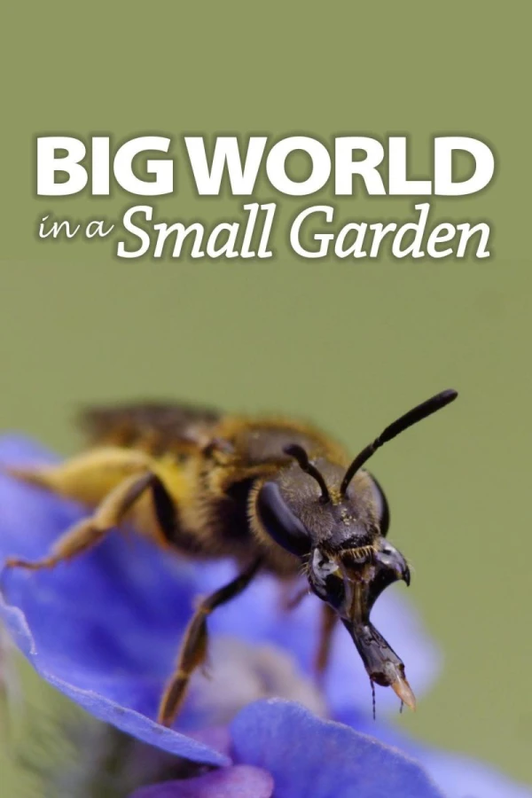 Big World in a Small Garden Juliste