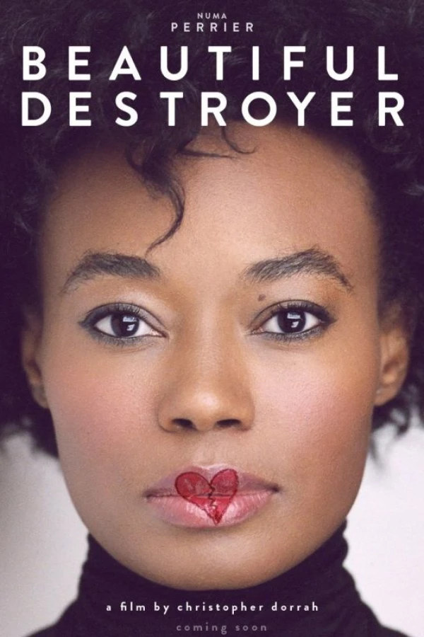 Beautiful Destroyer Juliste