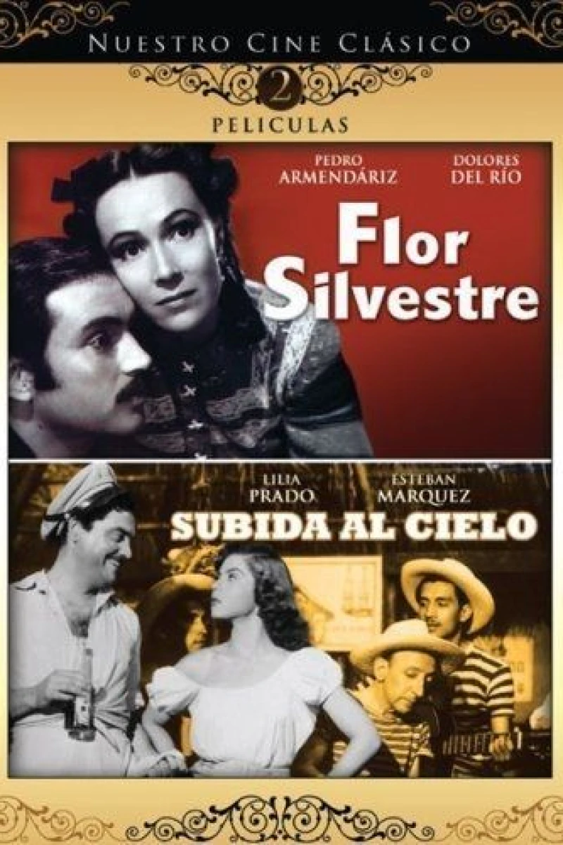 Flor silvestre Juliste