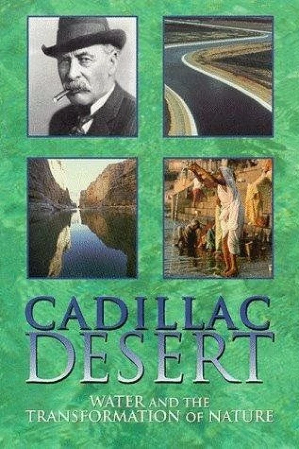 Cadillac Desert Juliste