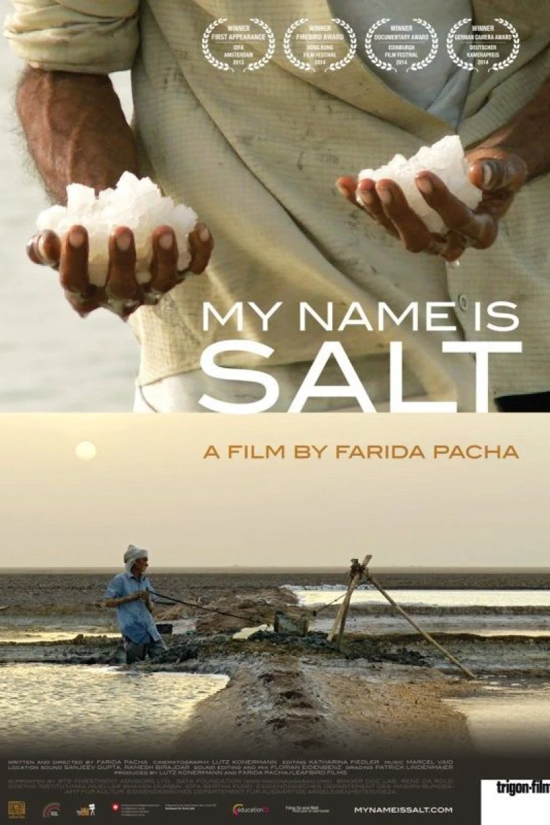 My Name Is Salt Juliste