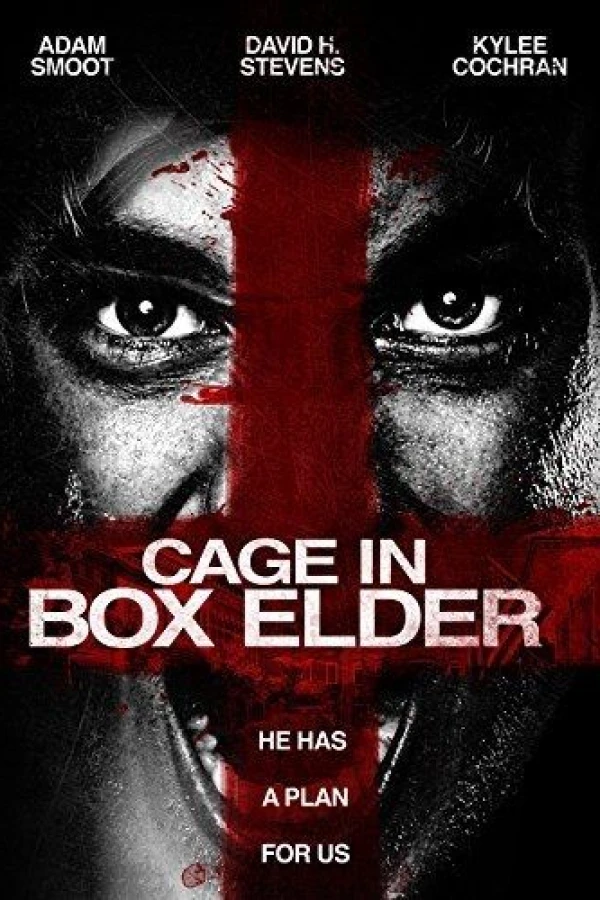 Cage in Box Elder Juliste
