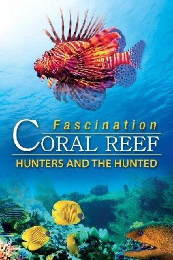 Fascination Coral Reef 3D: Hunters the Hunted Juliste