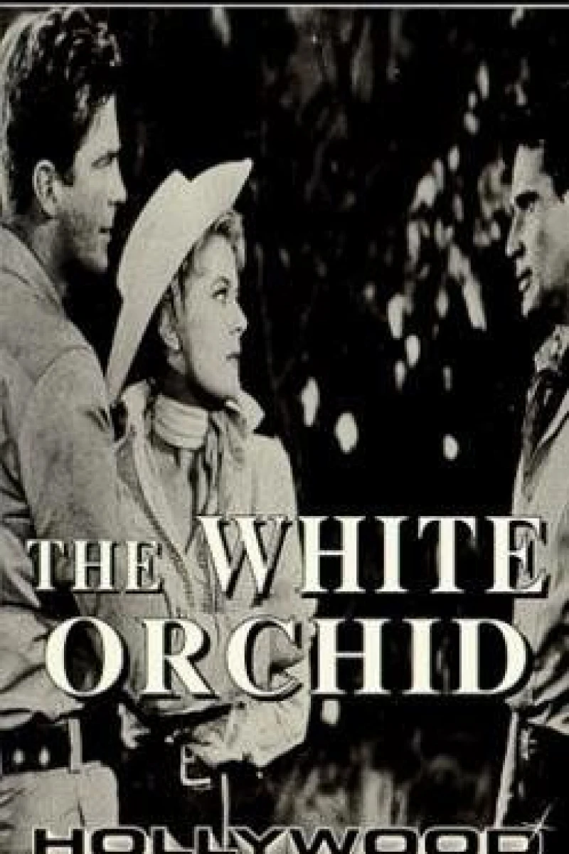 The White Orchid Juliste