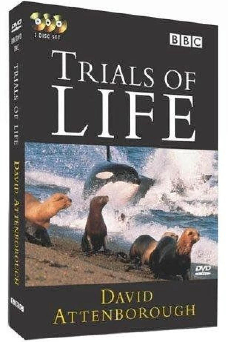 The Trials of Life Juliste