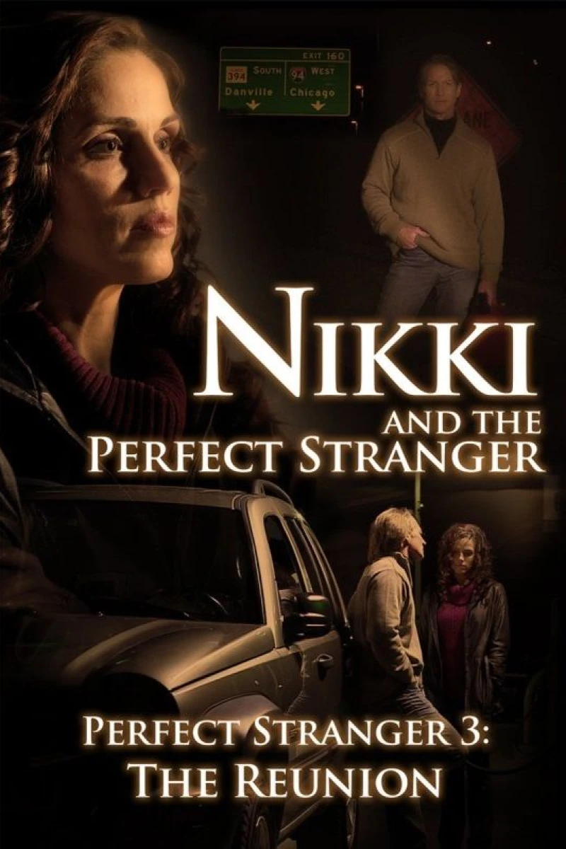 Nikki and the Perfect Stranger Juliste