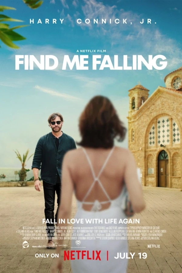 Find Me Falling Juliste