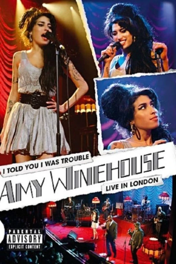 Amy Winehouse: I Told You I Was Trouble Juliste