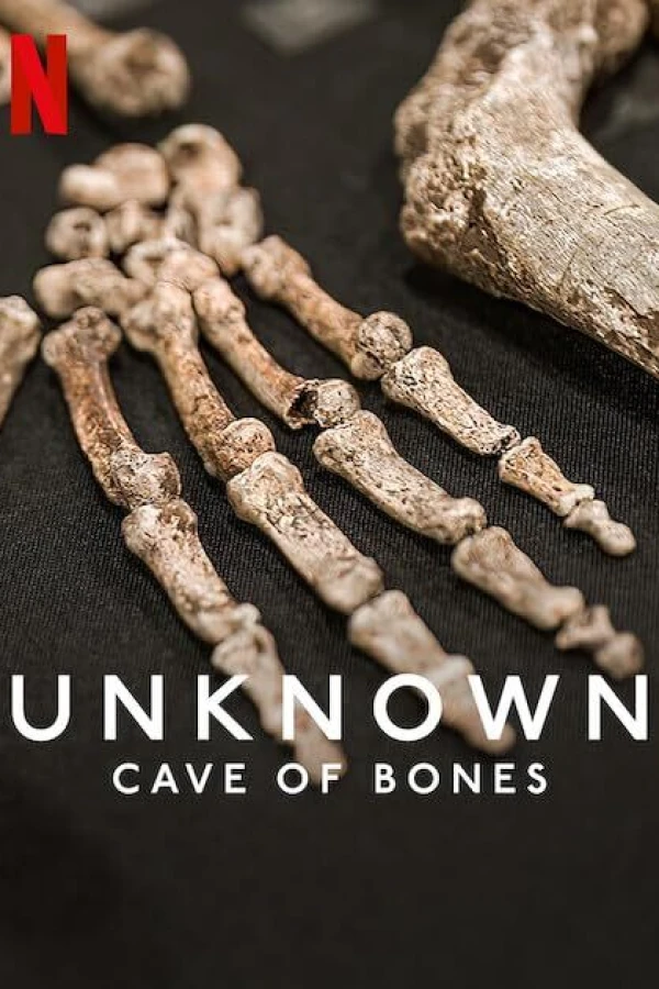 Unknown: Cave of Bones Juliste