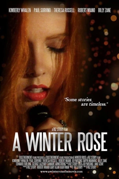 A Winter Rose