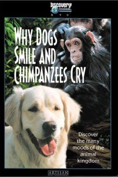 Why Dogs Smile & Chimpanzees Cry