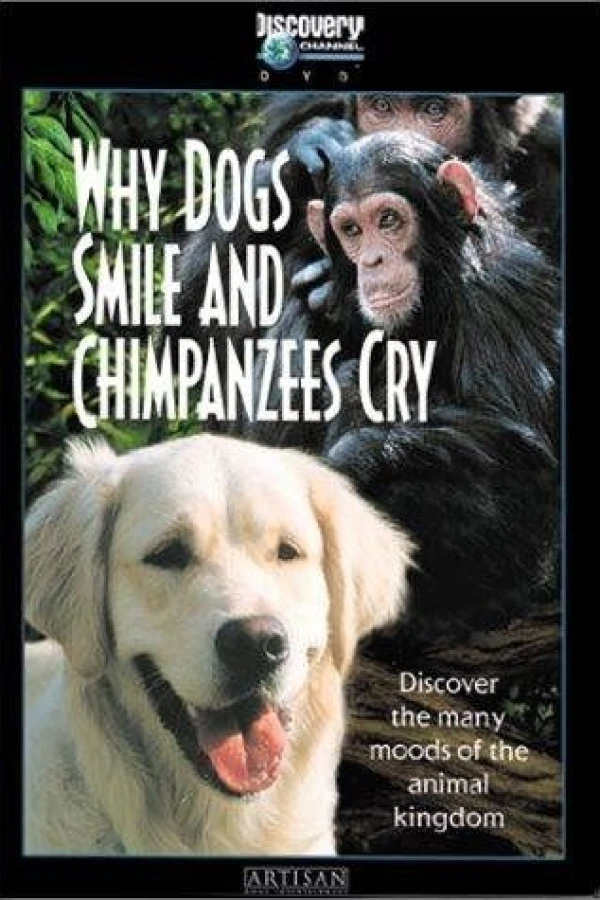 Why Dogs Smile Chimpanzees Cry Juliste