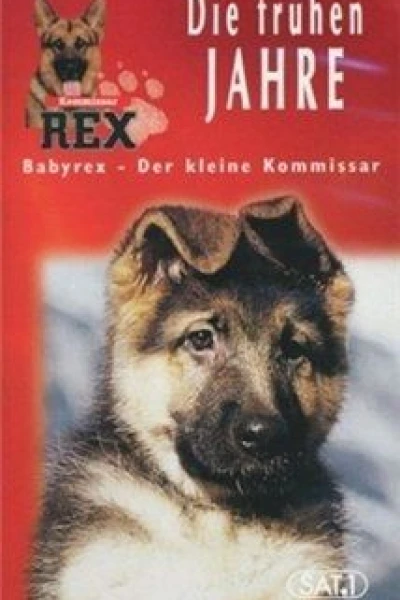 Baby Rex - Der kleine Kommissar