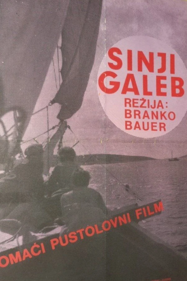 Sinji galeb Juliste