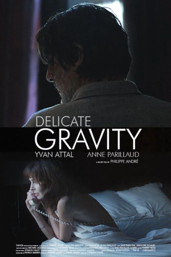 Delicate Gravity Juliste
