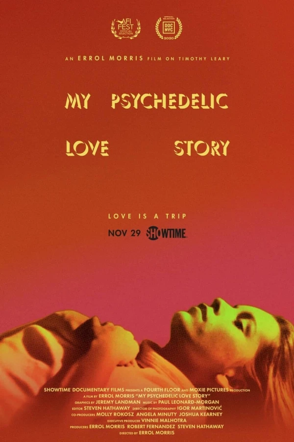 My Psychedelic Love Story Juliste