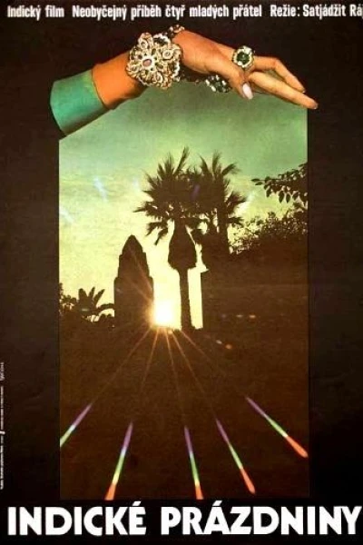 Days and Nights in the Forest