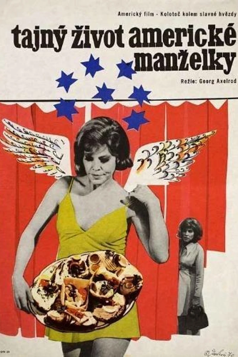 The Secret Life of an American Wife Juliste