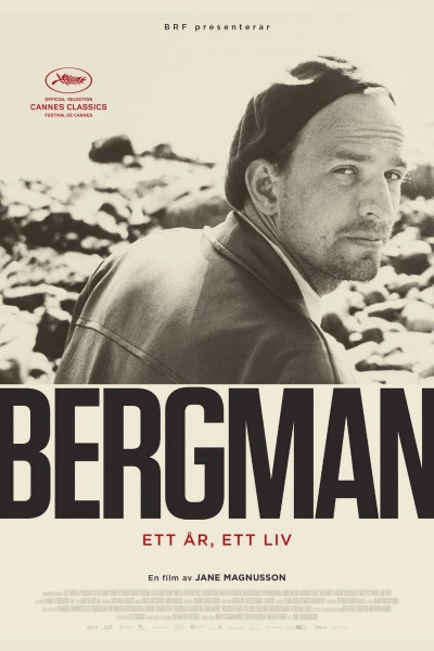 Bergman: Yksi vuosi, yksi elämä