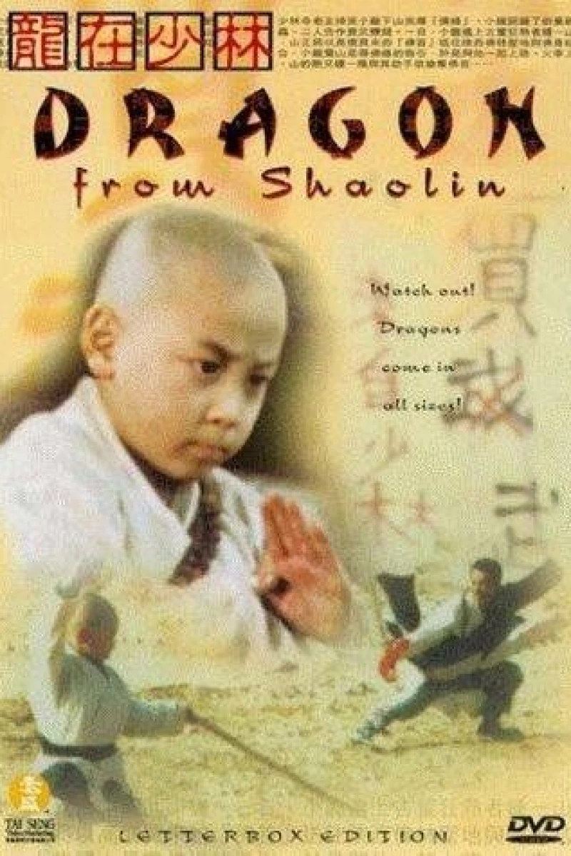 Dragon from Shaolin Juliste