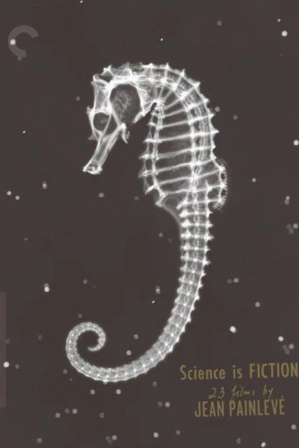 The Seahorse Juliste