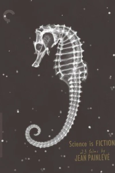 The Seahorse