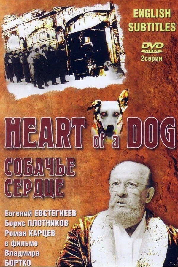 Heart of a Dog Juliste
