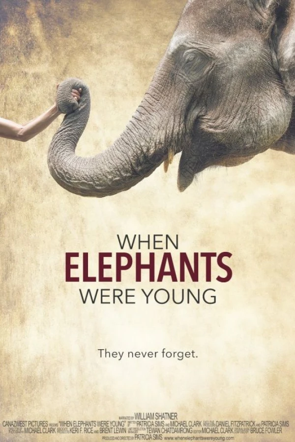 When Elephants Were Young Juliste