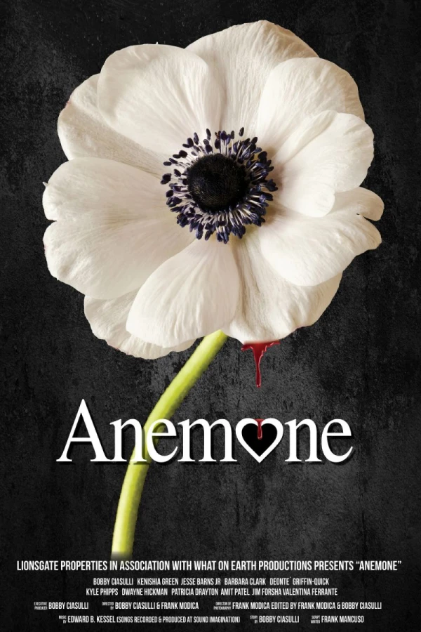 Anemone Juliste