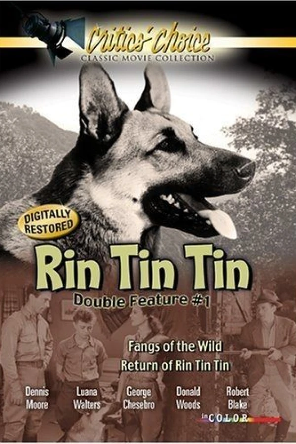 The Return of Rin Tin Tin Juliste