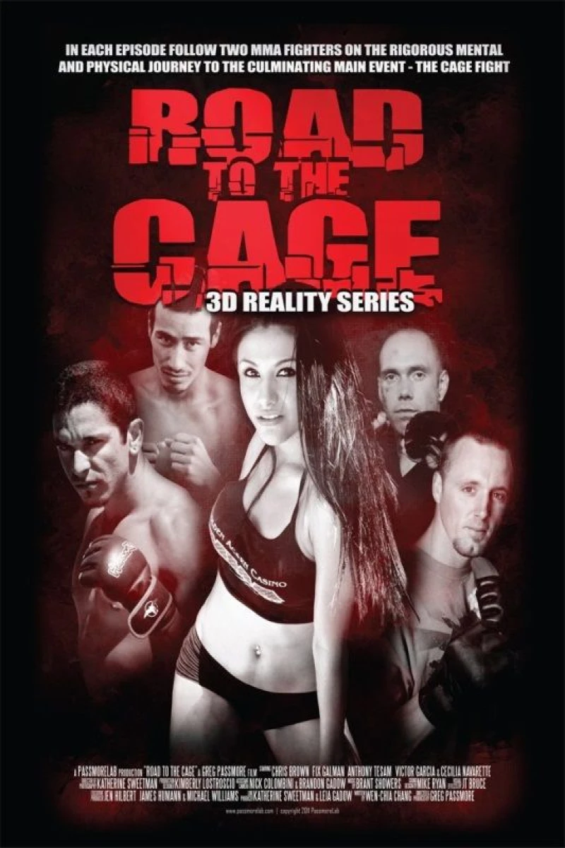 Road to the Cage 3D Juliste