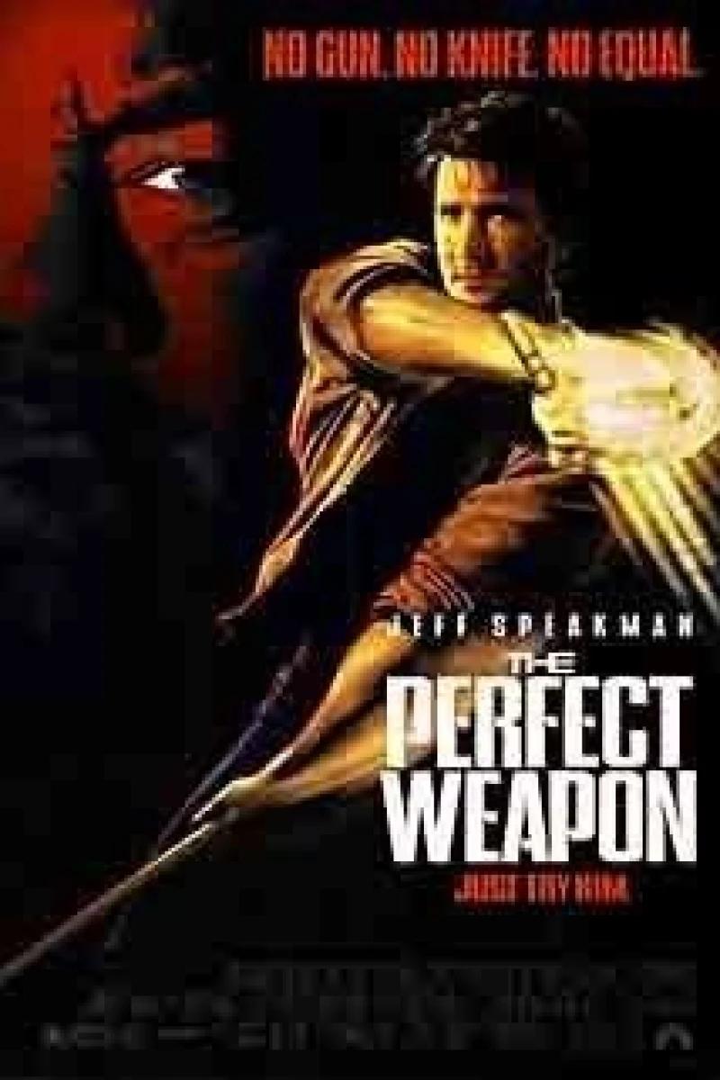 Perfect weapon - Täydellinen ase Juliste