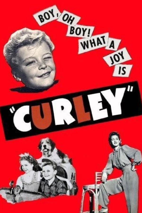 Curley Juliste