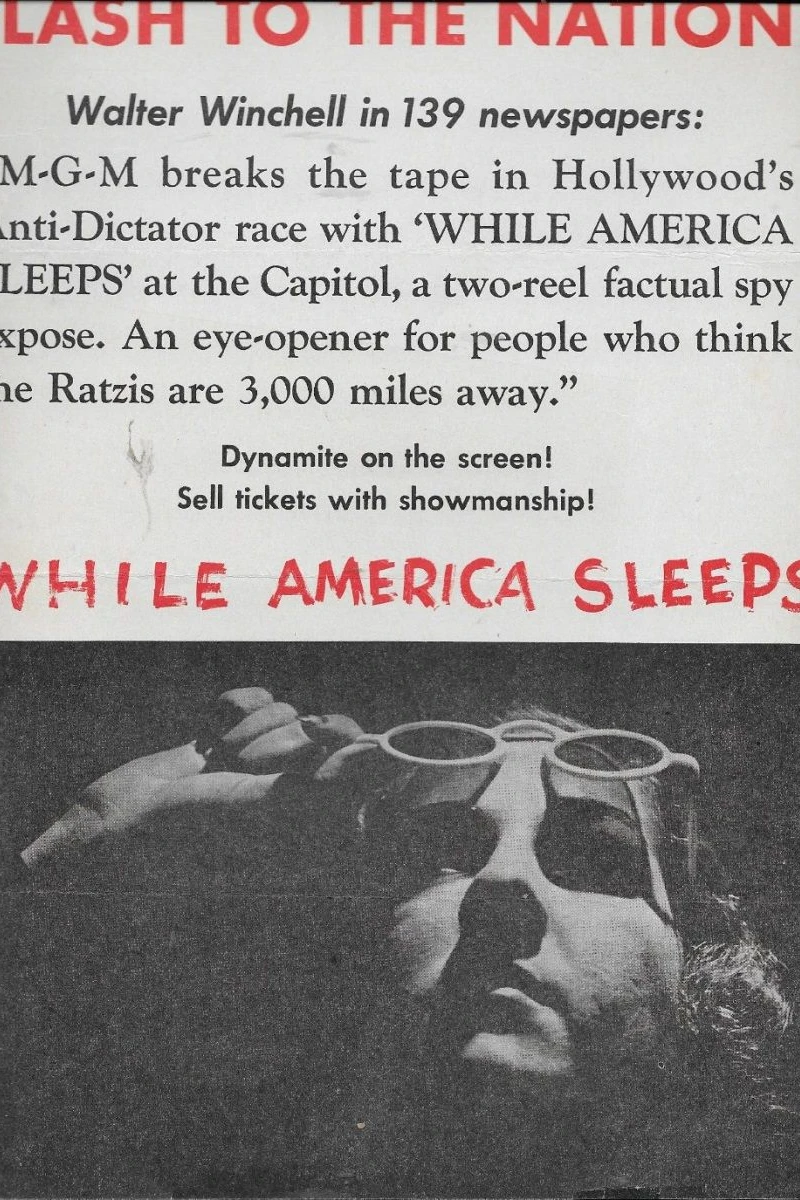 While America Sleeps Juliste