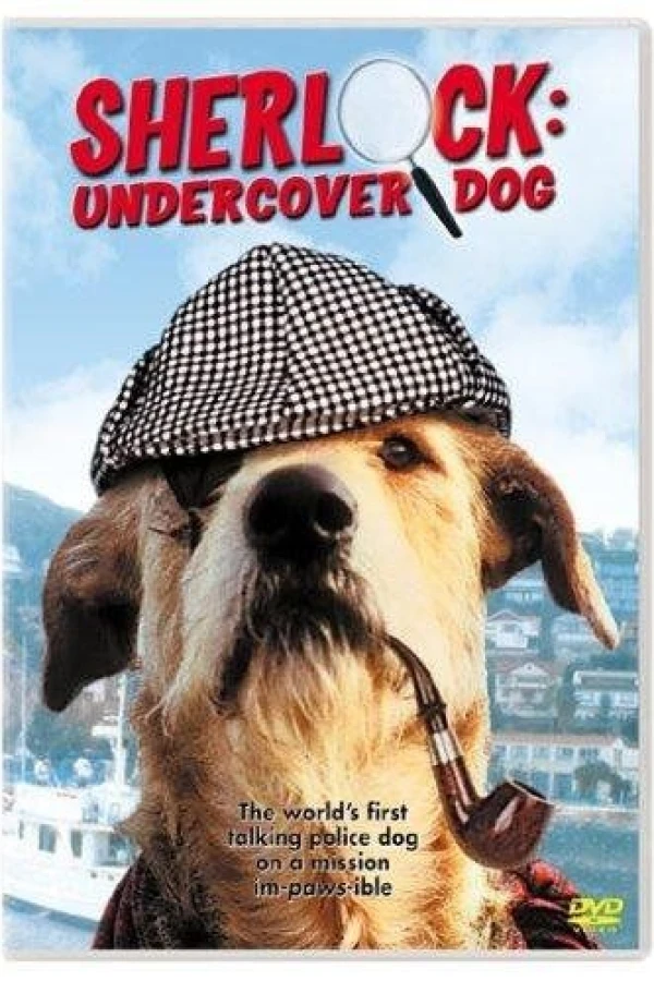 Sherlock: Undercover Dog Juliste