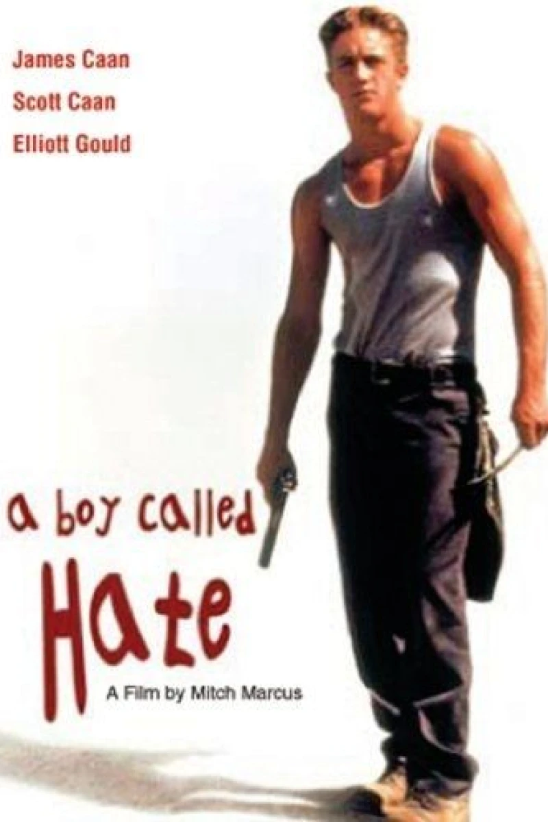 A Boy Called Hate Juliste