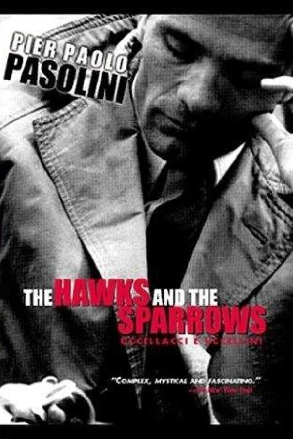 The Hawks and the Sparrows Juliste